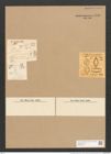 Surirella ladogensis WHeisse (de-Toni-Nr.: Genus 53, Species 2273) Zeichnungen Sammlung Grunow Nr. 4716 (NHMW-BOT-W0372811)